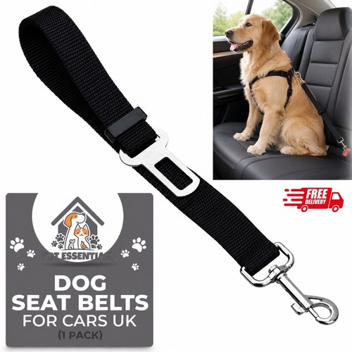 Pet dog seat - pet, belt