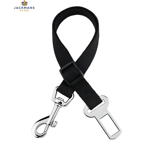 Dog harness seat - dog, buckle