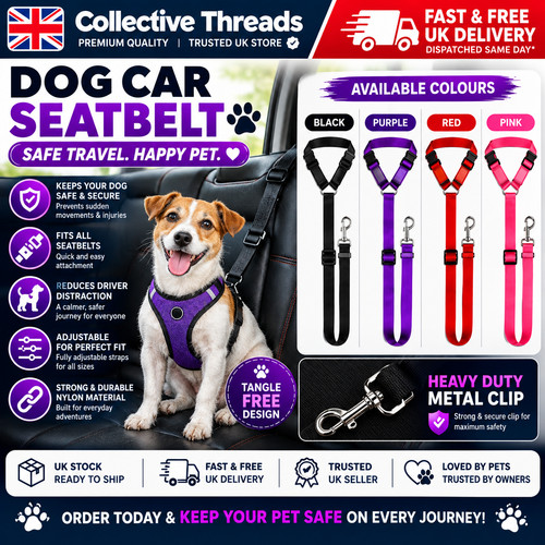 Anti shock dog seat belt - shock, pet
