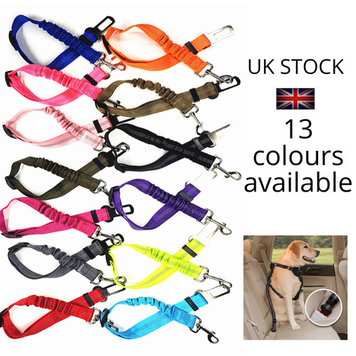 Dog seat belt anti - dog, pet