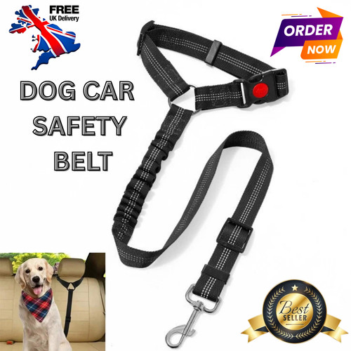 Anti shock dog - anti,