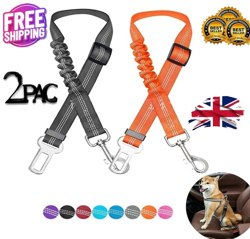 Pack anti shock pet dog - pet,
