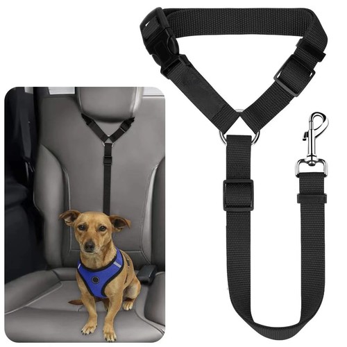 Pet dog seat - pet, travel