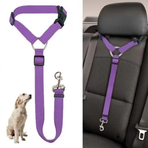 Pet car seat belt - in,