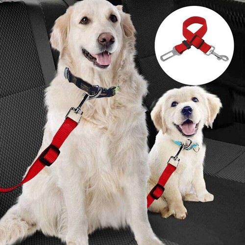Dog car seat - dog, belt