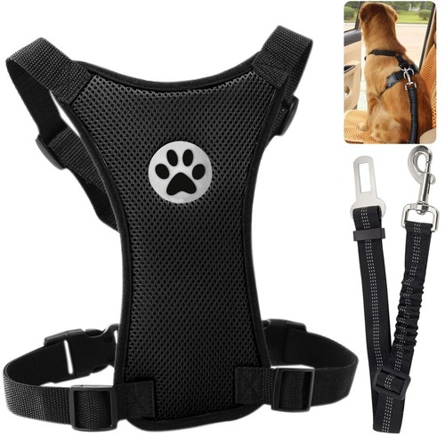 Air mesh puppy - air, car
