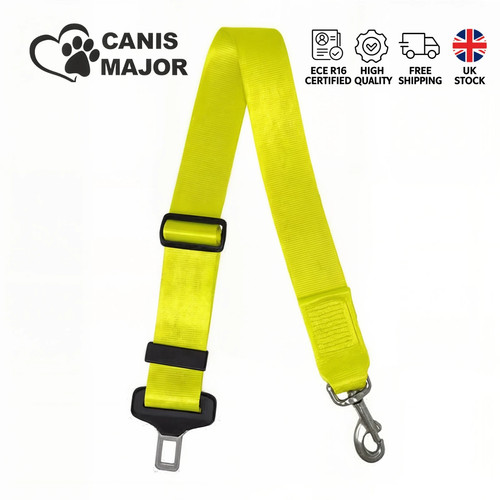 Dog seat belt travel - dog,