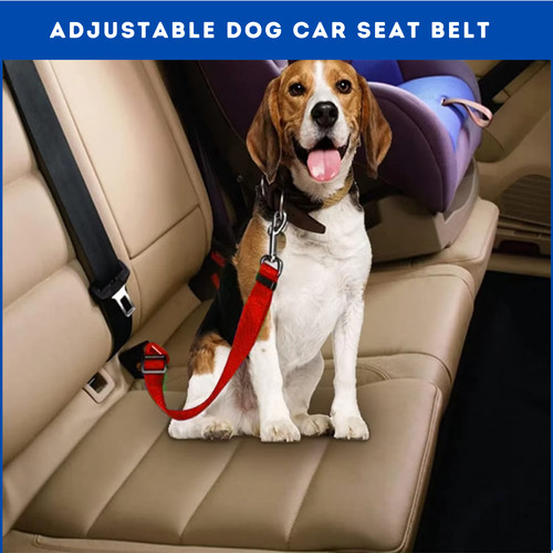 Pet dog seat - pet, belt