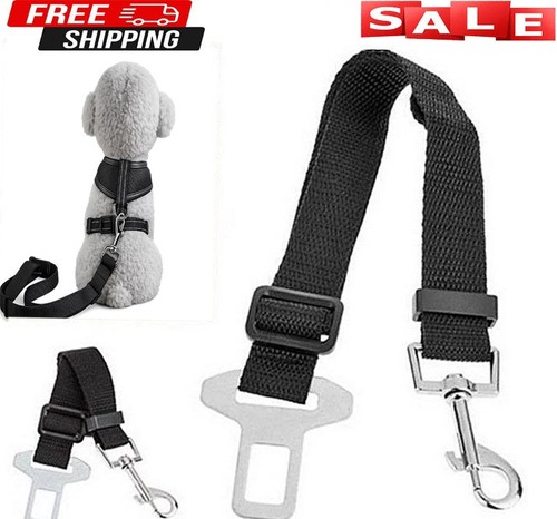 Seatbelt car clip - seatbelt, dog