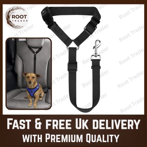 Anti shock dog seat belt - dog, pet