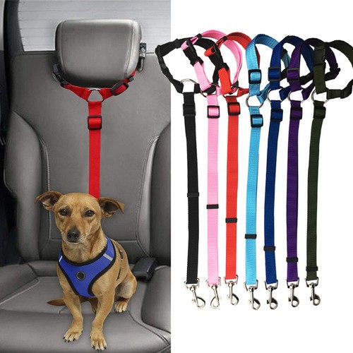 Adjustable pet dog - dog, travel