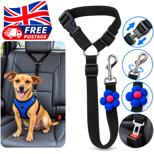 Dog car seat - seat, harness