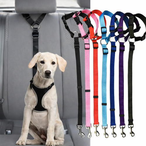 Dog car seat belt safety - dog,
