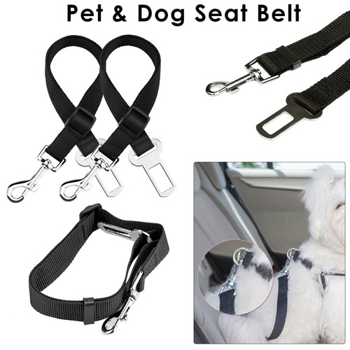 Pet dog car - seat, belt