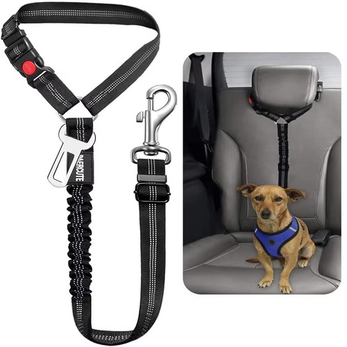 Dog car seat belt - dog,