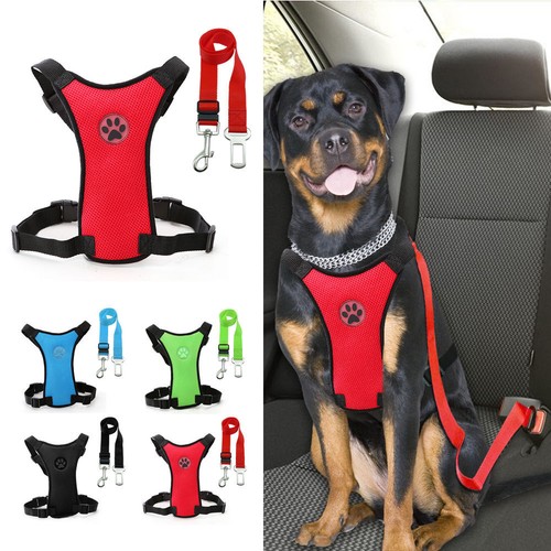 Dog harness breathable car - harness,
