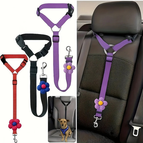 Anti shock dog - dog, belt