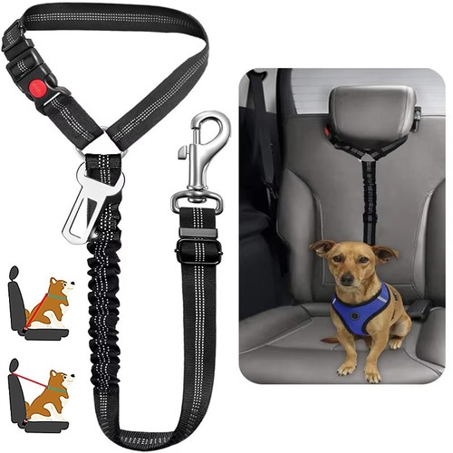 Anti shock dog - shock,