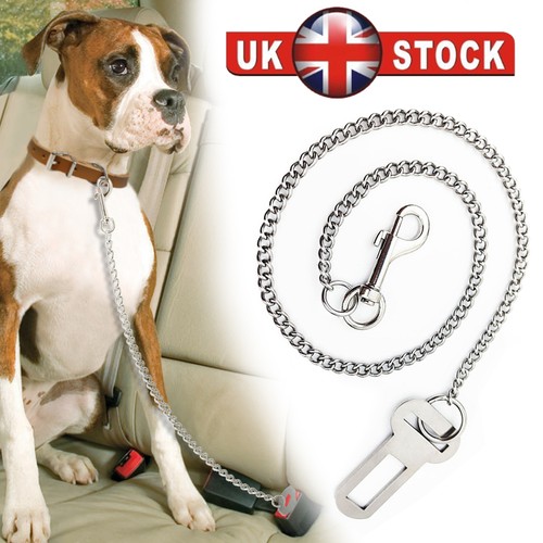 Dog chain lead car - dog, seat
