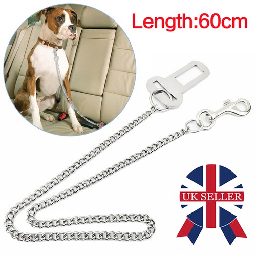 Metal chain pet dog - metal,